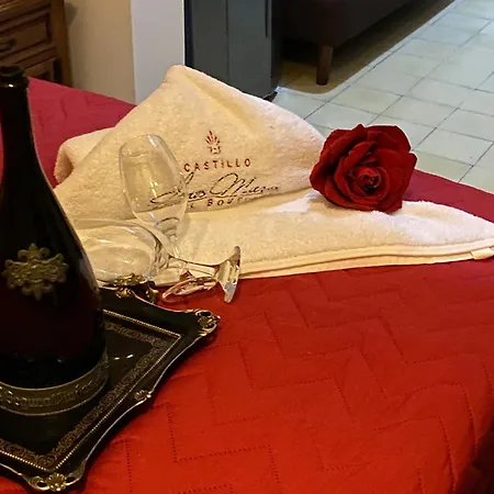 Boutique Castillo Ines Maria 4* Cartagena